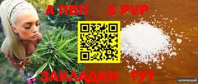 индика Апшеронск